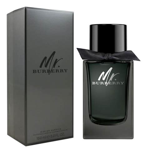 mr burberry clay hold|mr Burberry edp review.